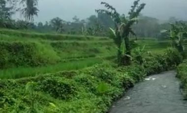 Tanah sawah pinggir sungai luas view bagus akses mobil kiarapedes Purwakarta cocok budidaya ikan dan villa