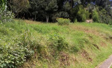 lote en venta en vereda la doctora - las brisas. Cod V208489