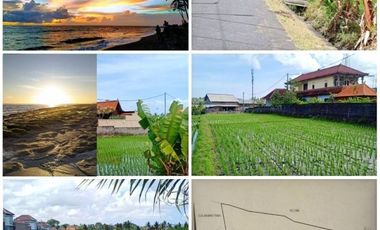 Dijual Tanah Di dekat Pantai Cemagi, Canggu, Badung, Bali