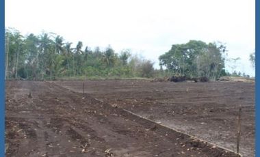 Kavling Cluster Perumahan Barat Bandara YIA, Siap Balik Nama