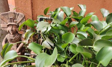 Casa en venta en Tepoztlán Morelos, céntrica con vista a las montañas