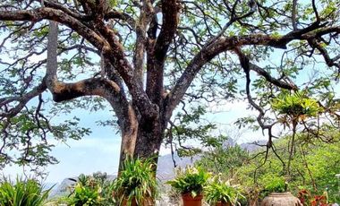Casa en venta en Tepoztlán Morelos, céntrica con vista a las montañas