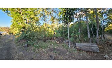 VENDO 1000 METROS EN.PALMIRA  BOQUETE