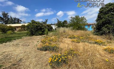 Parcela en venta en Villa Alemana