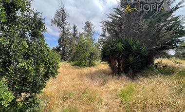 Parcela en venta en Villa Alemana