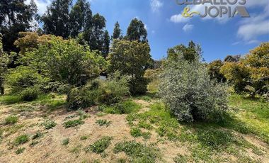 Parcela en venta en Villa Alemana