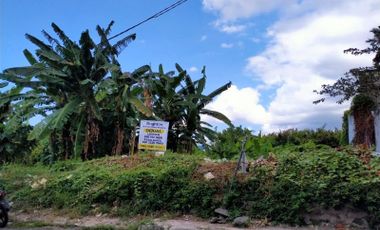 Tanah Kubu Pratama Indah Denpasar Lingkungan Bersih dan Nyaman