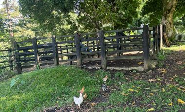 finca en venta en finca la rica. Cod V13738