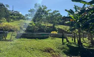 finca en venta en finca la rica. Cod V13738