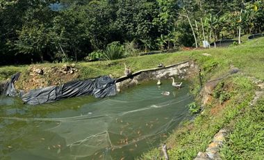 finca en venta en finca la rica. Cod V13738