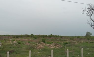 lote en arriendo/venta en via juan mina. Cod V89763