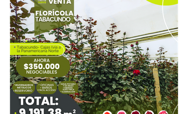 FLORICOLA EN VENTA 9000M2