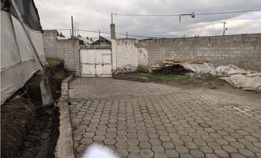 FLORICOLA EN VENTA 9000M2