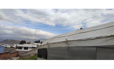FLORICOLA EN VENTA 9000M2