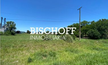 VENTA DE CHACRA EN GENERAL MADARIAGA