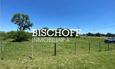 VENTA DE CHACRA EN GENERAL MADARIAGA