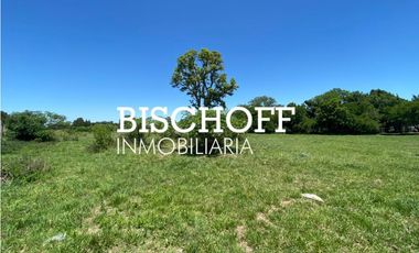 VENTA DE CHACRA EN GENERAL MADARIAGA