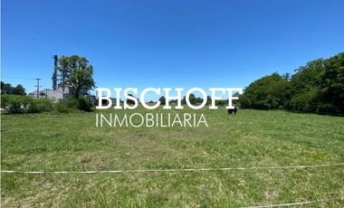 VENTA DE CHACRA EN GENERAL MADARIAGA