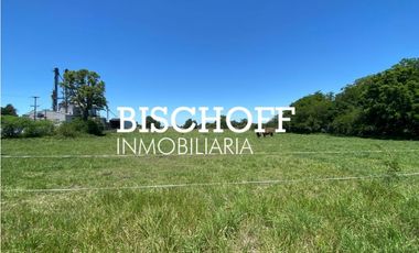 VENTA DE CHACRA EN GENERAL MADARIAGA