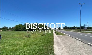 VENTA DE CHACRA EN GENERAL MADARIAGA