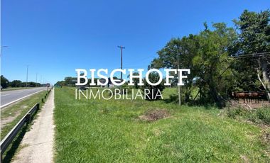 VENTA DE CHACRA EN GENERAL MADARIAGA