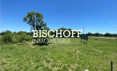 VENTA DE CHACRA EN GENERAL MADARIAGA