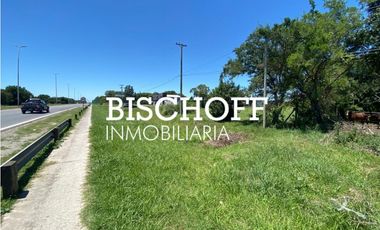 VENTA DE CHACRA EN GENERAL MADARIAGA