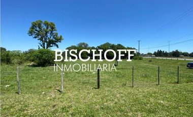 VENTA DE CHACRA EN GENERAL MADARIAGA