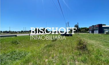 VENTA DE CHACRA EN GENERAL MADARIAGA