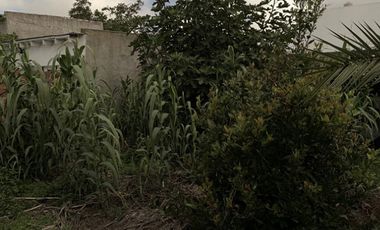 GUANAHANI 3756