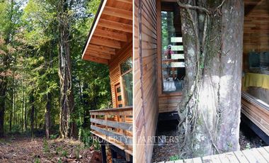 Espectacular refugio en Reserva biológica Huilo Huilo