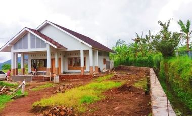 Rumah DiJual Plus Peternakan Burung Dan Empang Di Pandeglang Banten