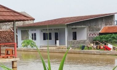 Rumah DiJual Plus Peternakan Burung Dan Empang Di Pandeglang Banten
