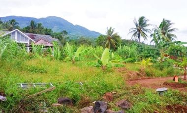 Rumah DiJual Plus Peternakan Burung Dan Empang Di Pandeglang Banten