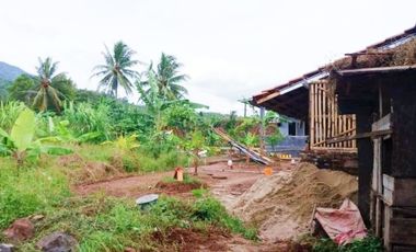 Rumah DiJual Plus Peternakan Burung Dan Empang Di Pandeglang Banten