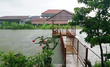 Rumah DiJual Plus Peternakan Burung Dan Empang Di Pandeglang Banten