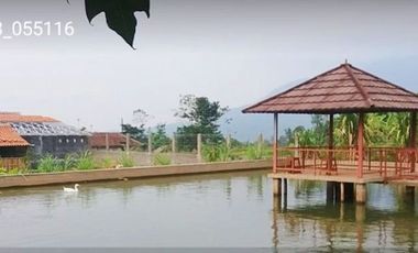 Rumah DiJual Plus Peternakan Burung Dan Empang Di Pandeglang Banten