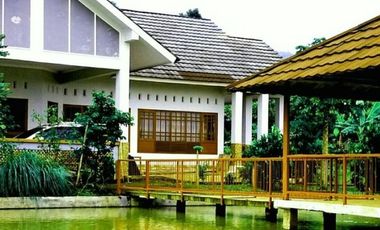 Rumah DiJual Plus Peternakan Burung Dan Empang Di Pandeglang Banten
