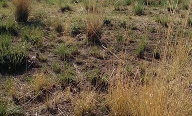 Terreno en venta Ejidal en San Juan Tilapa