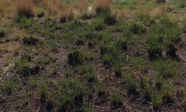 Terreno en venta Ejidal en San Juan Tilapa