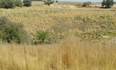 Terreno en venta Ejidal en San Juan Tilapa