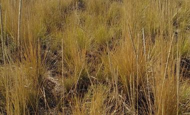 Terreno en venta Ejidal en San Juan Tilapa