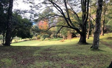 Exclusiva  Residencia - LIifén