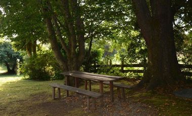 Exclusiva  Residencia - LIifén