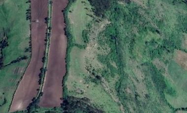 SE VENDE FINCA 70 HECTAREAS EN YACUANQUER NARIÑO. Cod V22186