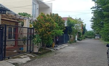 Disewa Rumah SDR JL Bahagia, Sukolilo, Surabaya Timur