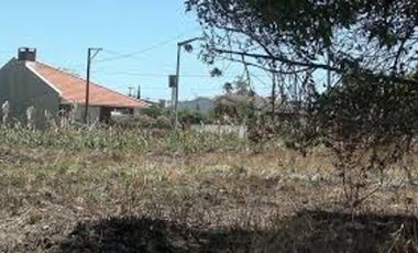 LOTE EN NECOCHEA 20X35 OPORTUNIDAD AV 91 ENTRE CALLE 52 Y 54 A 2 CUADRAS DEL ASFALTO ESTA ESCRITURADO
