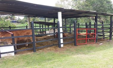 finca en venta en chinauta. Cod V108
