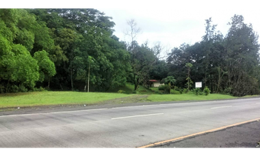 Terreno en Via Principal en Transismica