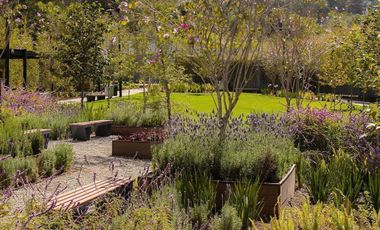 Exclusivos PH de Lujo en Venta Zona Poniente CDMX